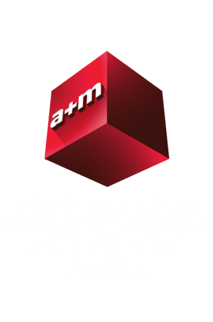 Agency of the Year 2024 Award